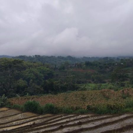 Puri Kahuripan Kediri  Bagian luar foto